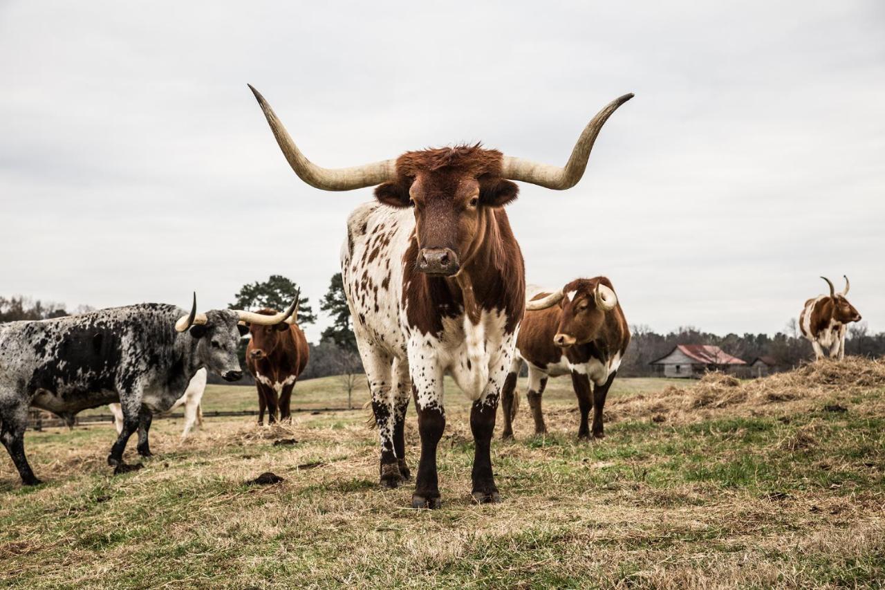 Отель Pursell Farms Fayetteville Экстерьер фото